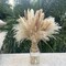 Pampas Grass Decor 110 pcs 17.5inch Natural Dried(White,straw Yellow,brown)
